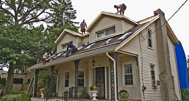 Roof Gutter Cleaning in Palatine, IL